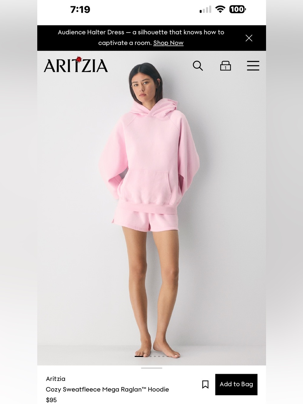 Aritzia Cupid Punk Mega Raglan Hoodie